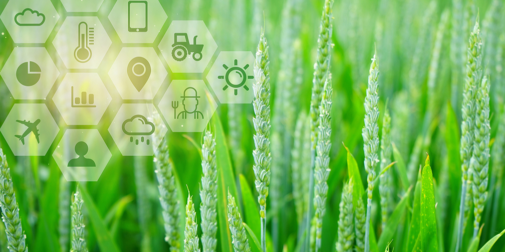 1701159163613831.jpg 智慧農業3-1.jpg